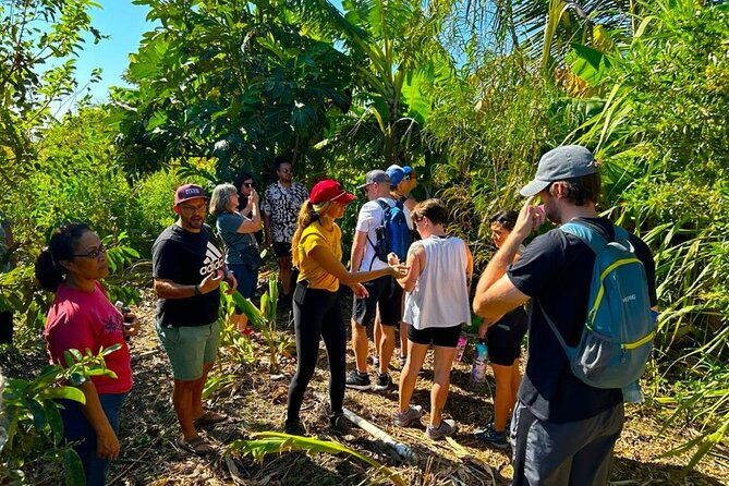 taste-of-hawaii-a-maui-farm-tour