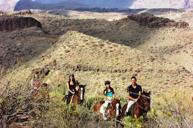 the-best-horse-riding-experience-in-gran-canaria-1-hour