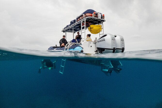 the-best-maui-3-hour-molokini-and-turtle-town-snorkel-2
