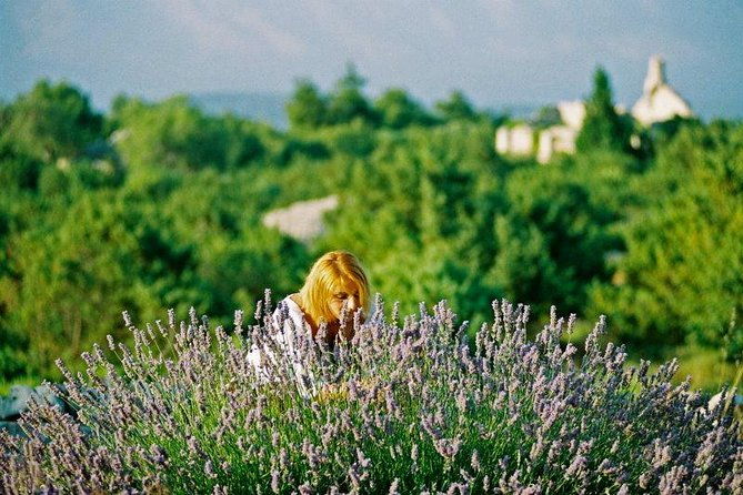 the-best-of-hvar-small-group-tour-with-wine-tasting-and-dinner