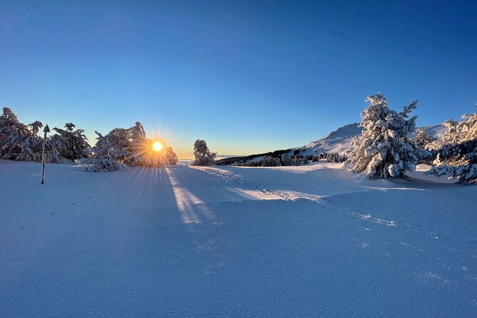 the-best-of-sofia-magical-snowshoeing-adventure-in-vitosha-spa-2