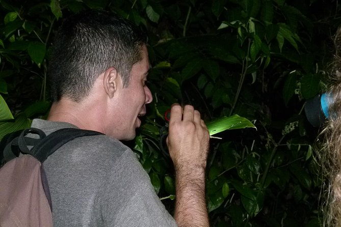 the-best-of-tortuguero-canoe-hike-and-night-tour-turtle-in-jul-oct