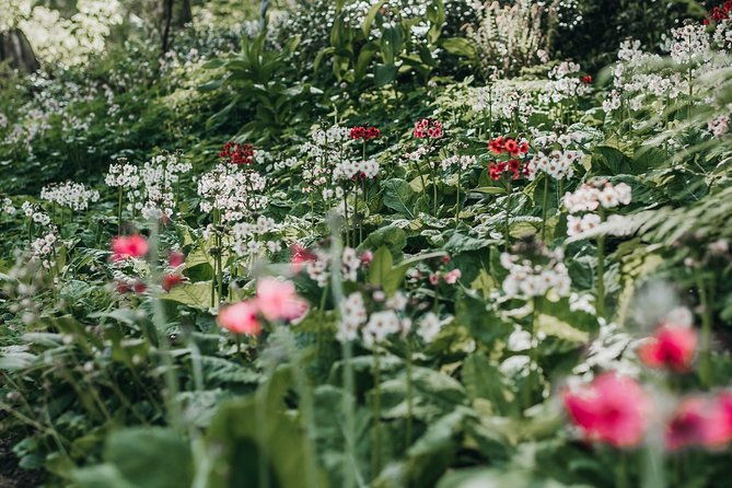 the-bloedel-reserve-sightseeing