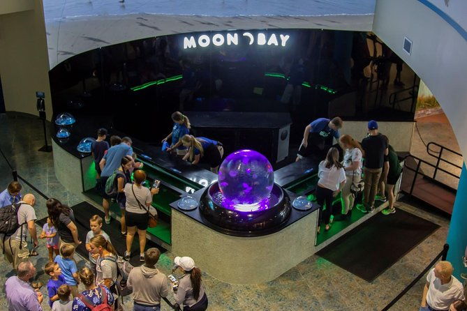 the-florida-aquarium-in-tampa-general-admission