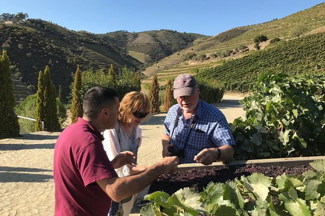 the-luxury-douro-tour-2