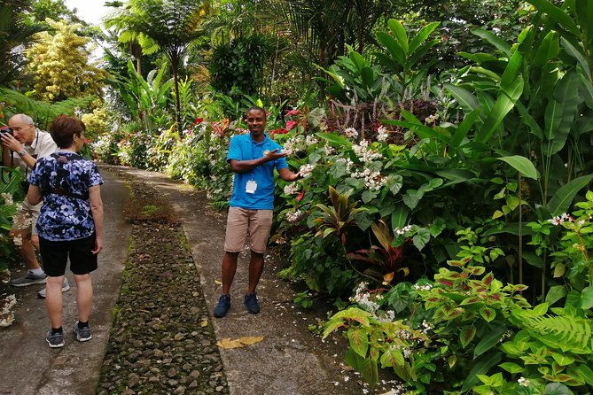 the-montreal-gardens-and-beach-half-day-experience
