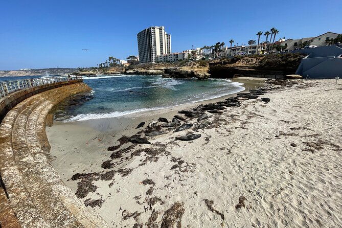 the-plunge-e-bike-tour-in-la-jolla