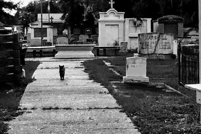 the-spirit-ghost-walking-tour