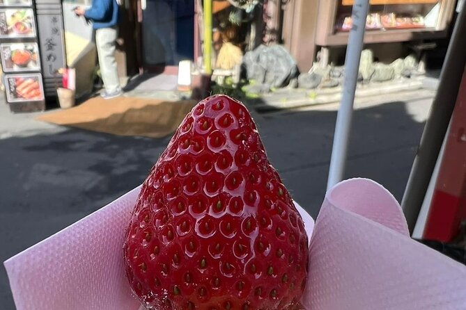 the-taste-of-tsukiji-a-tokyo-fish-market-food-tour-with-guide