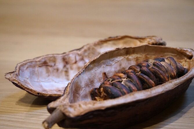 the-turin-chocolate-tasting-experience-4