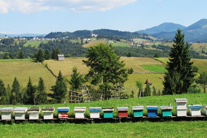 the-wine-route-by-bike