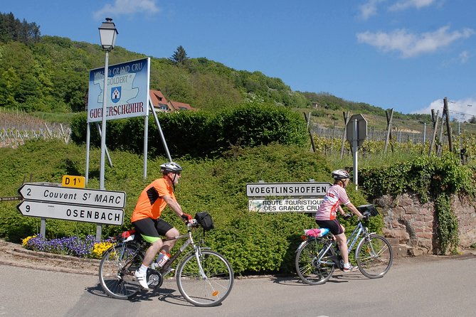through-alsace-vineyards-and-wine-villages-private-bike-tour