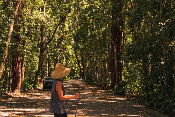 tijuca-forest-trail-specialized-guide-and-photos