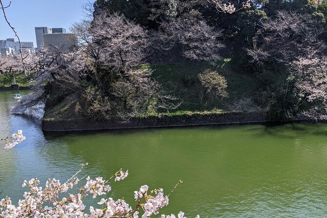 tokyo-imperial-palace-higashi-gyoen-wellness-tour