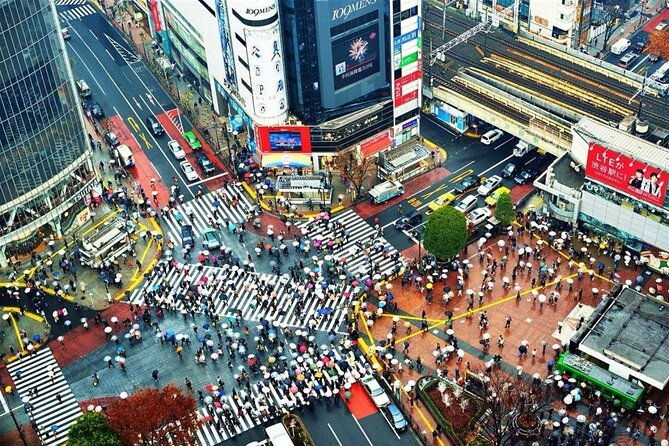 tokyo-private-customizable-day-tour-with-english-speaking-driver