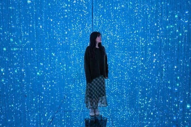 tokyo-teamlab-borderless-museum-admission-ticket