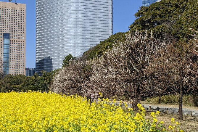 tokyo-tsukiji-hamarikyu-gardens-wellness-tour-walk-and-relax