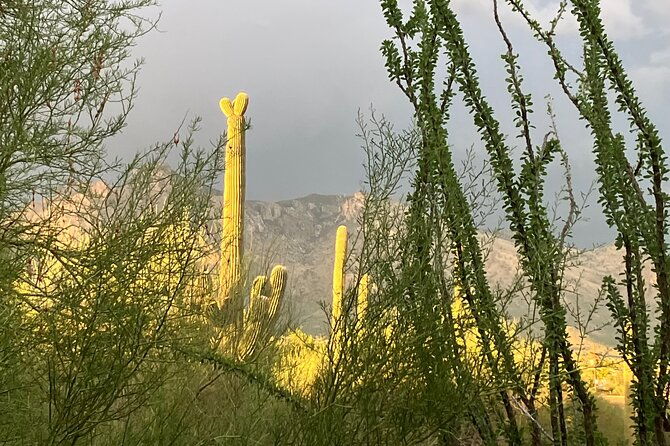 tombstone-san-xavier-how-the-west-was-won-2