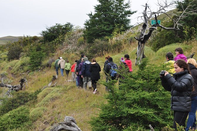 torres-del-paine-full-day-overland-truck-4x4-from-el-calafate
