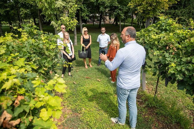 tour-and-tasting-of-organic-wines-in-lazise-2