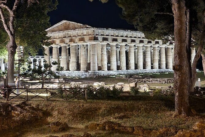 tour-at-the-temples-and-the-national-museum-of-paestum