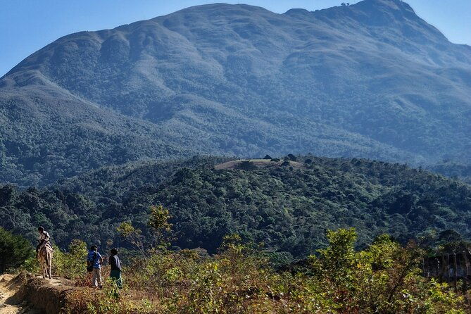 tour-in-pueblo-bello-biodiverse-colombia-south-america