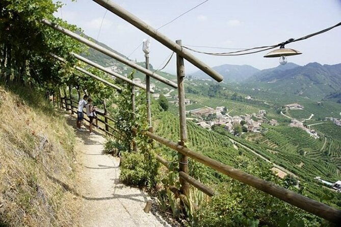 tour-in-the-prosecco-hills-tour-from-padua-2