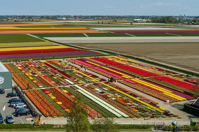 tour-to-giethoorn-and-keukenhof-tulip-fields-from-amsterdam-2
