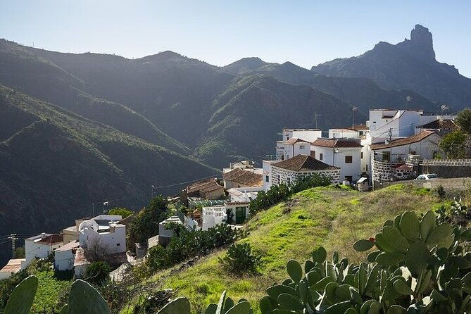 tour-to-guayadeque-firgas-fataga-vip