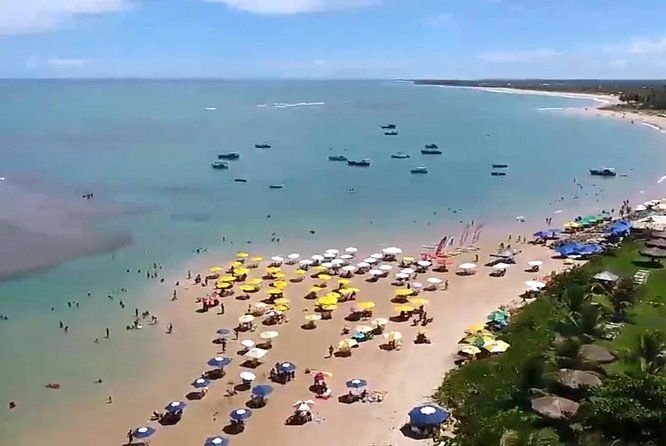 tour-to-praia-do-forte-and-guarajuba