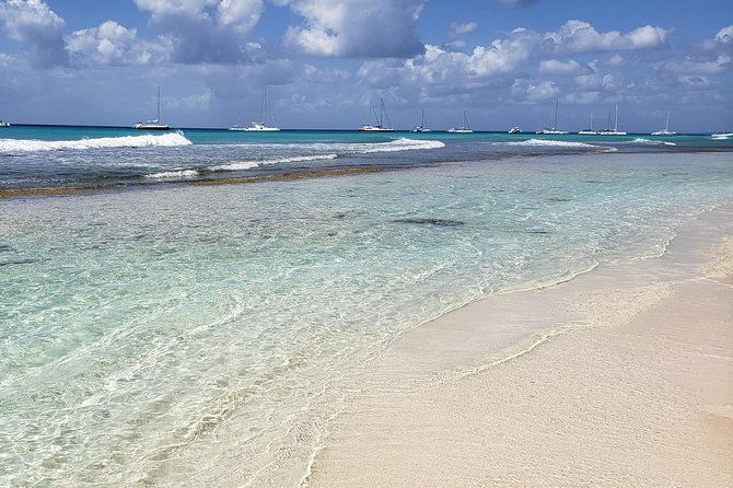 tour-to-saona-island