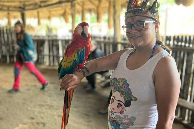tour-to-the-amazon-for-one-day