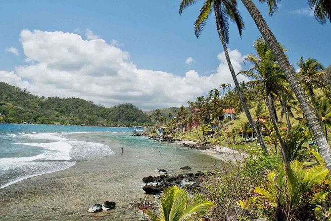 tour-to-the-caribbean-coast-3-islands-grande-mamey-and-monkey-plus-love-tunnel-including-historic-portobelo-fort