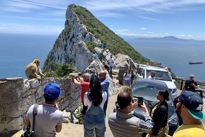 tours-of-gibraltar-standard-tour