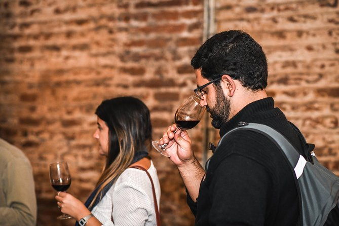 traditional-tour-vina-cousino-macul-official-portuguese