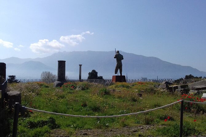transfer-from-naples-area-to-sorrento-with-2hr-stop-in-pompeii