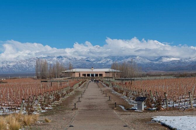 transfer-to-salentein-uco-valley-with-lunch-and-visit