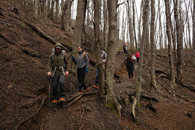 trekking-base-torres-without-lunch