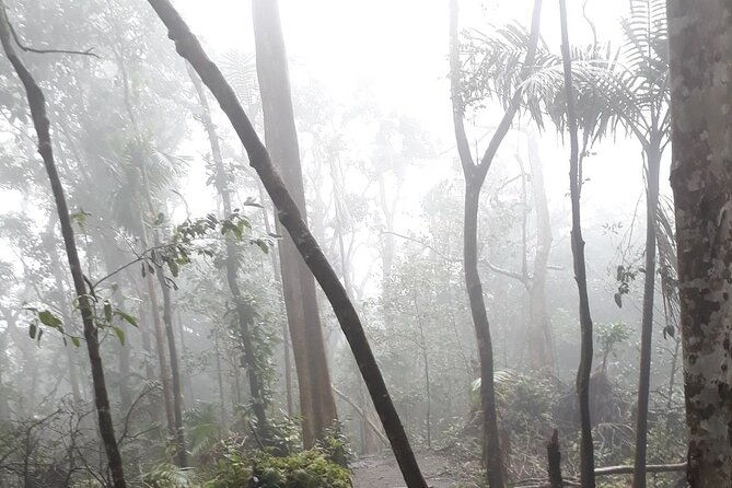trekking-mt-liamuiga-volcano-full-day-guided