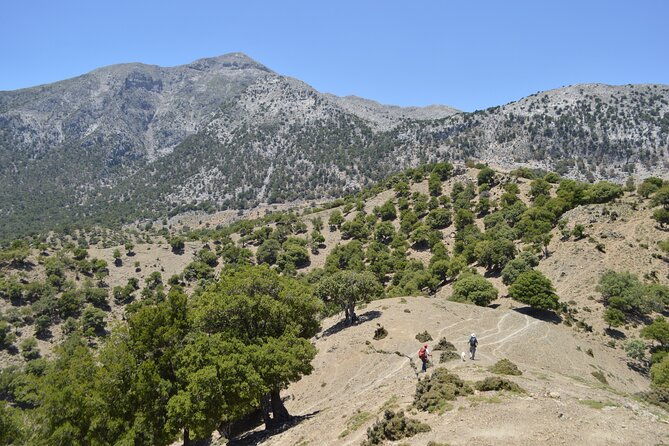 trekking-rouvas-gorge