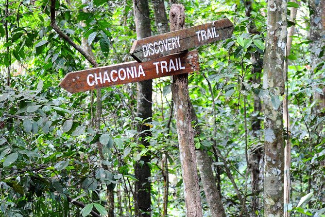 trinidad-nature-and-asa-wright-center-full-day-tour-from-port-of-spain