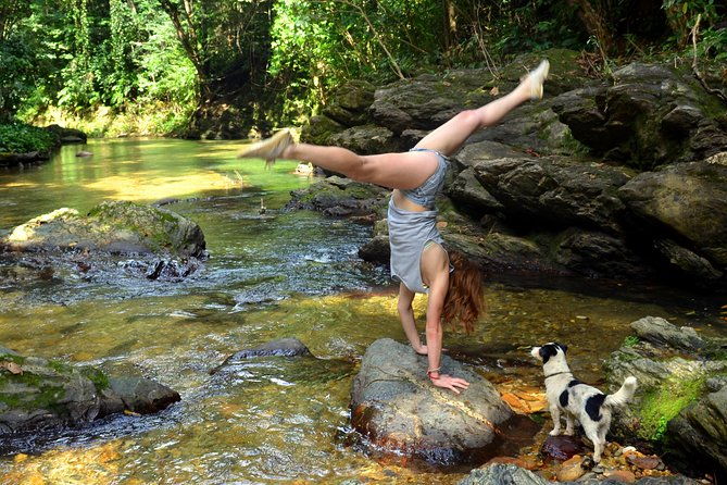 trinidad-rainforest-hike-to-waterfall