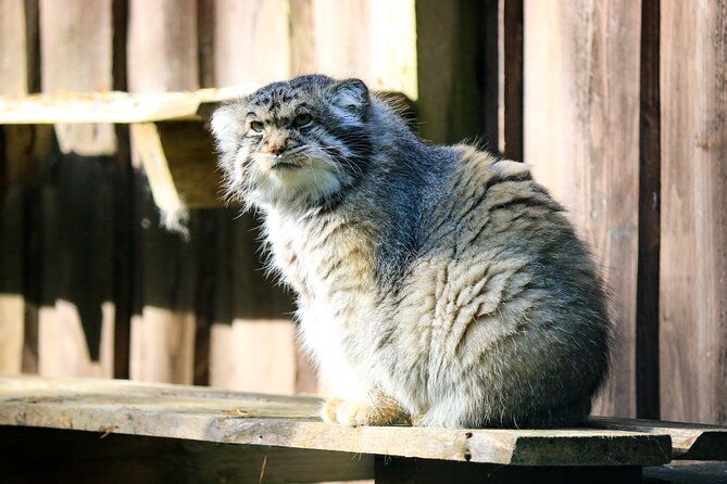 trip-to-ranua-wildlife-park