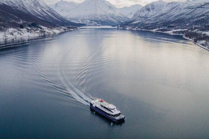 tromso-northern-lights-and-wilderness-evening-catamaran-cruise