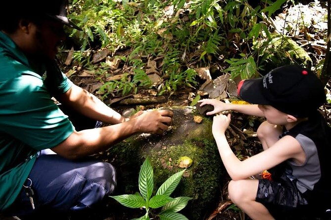 tropical-rain-forest-explorer-hike-in-st-kitts
