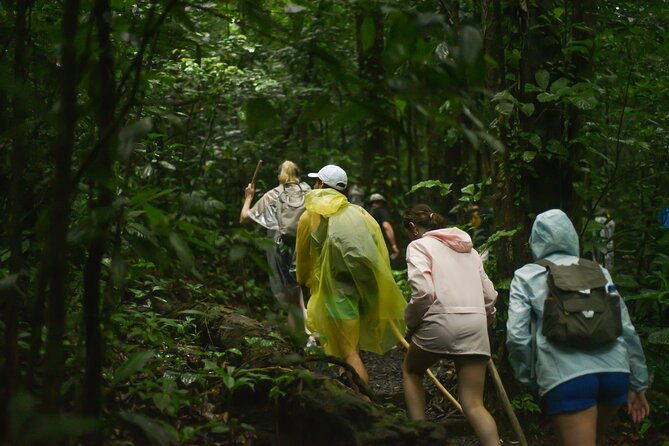 tropical-rainforest-hanging-bridges-and-jungle-sloths-sanctuary