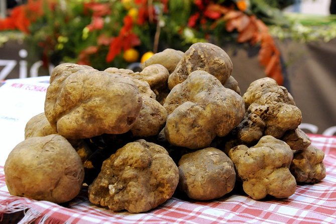 truffle-hunting-with-tasting-included-umbria-italy
