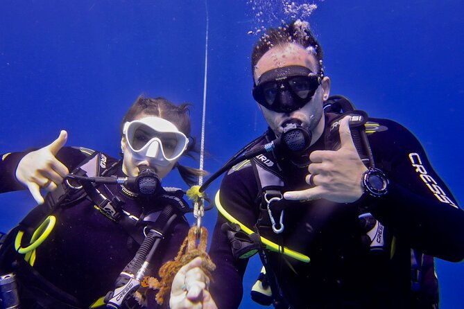 try-scuba-diving-on-kauai-with-sea-turtles