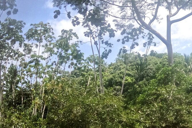 tubing-across-palomino-river-including-a-hiking-tour