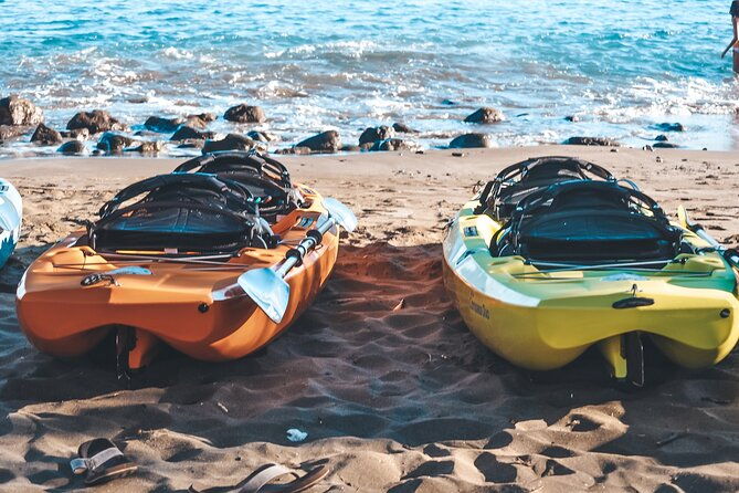 turtle-gardens-west-maui-snorkel-tour